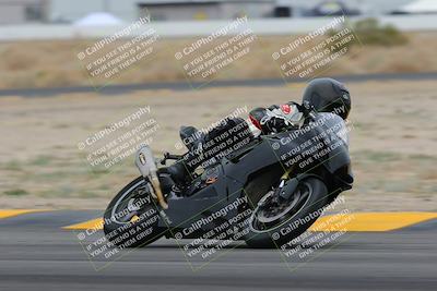 media/Jan-14-2023-SoCal Trackdays (Sat) [[497694156f]]/Turn 4 Set 2 (1030am)/